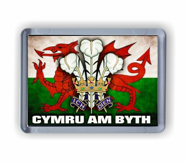 Welsh Flag/Feathers
small fridge magnet
